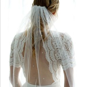 White crystal swarovski veil, Cathedral length 120”